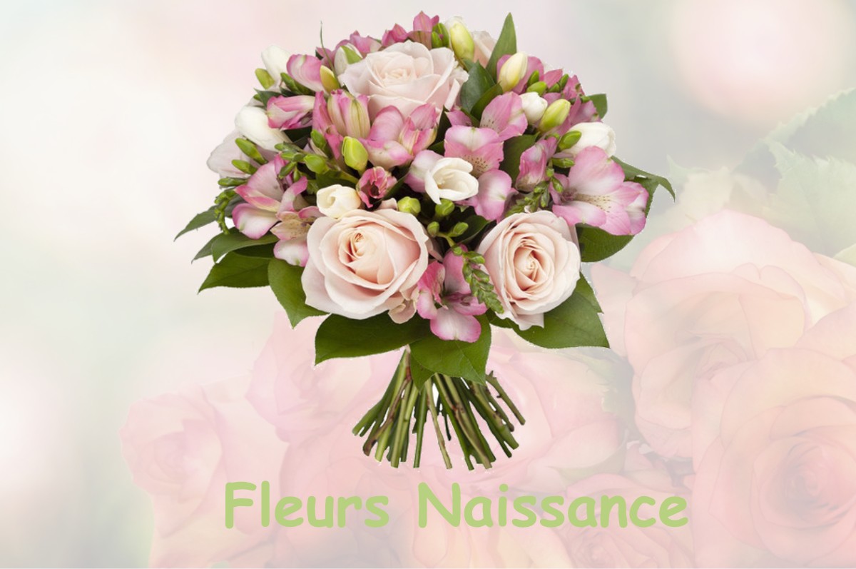 fleurs naissance PRENOVEL