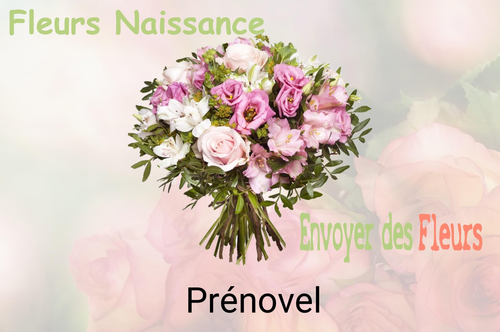 Bouquet de fleurs de naissance livré à Prénovel