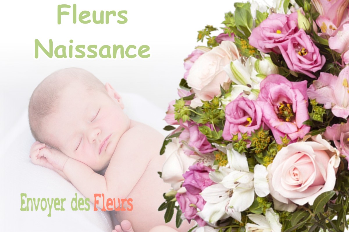 lIVRAISON FLEURS NAISSANCE à PRENOVEL